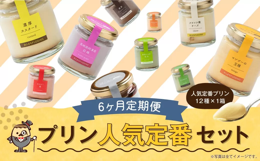 【6回定期便】 浜んまちPUDDING プリンづくし 12種類 詰め合わせ （通常紙箱） スイーツ お菓子 おやつ