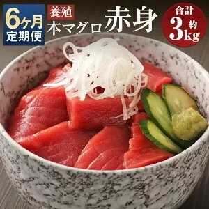 【6ヶ月定期便】長崎県産 本マグロ 赤身 500g 鮪 魚 刺身 【大村湾漁業協同組合】