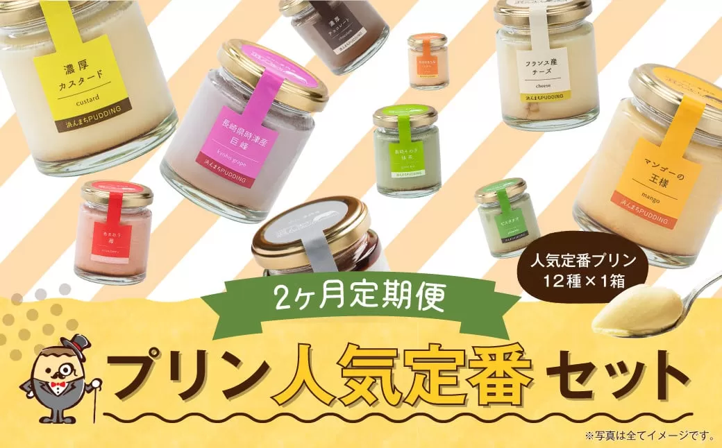 【2回定期便】 浜んまちPUDDING プリンづくし 12種類 詰め合わせ （通常紙箱） スイーツ お菓子 おやつ