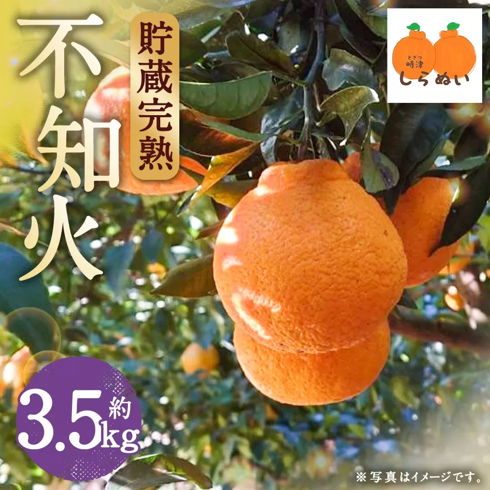 【数量限定】貯蔵 完熟不知火 約3.5kg【2025年3月上旬～4月上旬迄発送予定】  不知火 フルーツ 果物 蜜柑 柑橘 国産 長崎県産 九州産 デコポンと同一品種