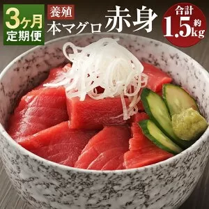 【3ヶ月定期便】長崎県産 本マグロ 赤身 500g 鮪 魚 刺身 【大村湾漁業協同組合】