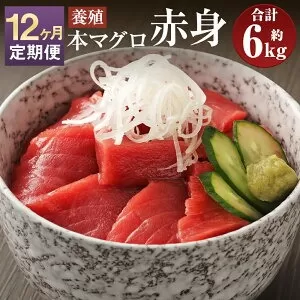 【12ヶ月定期便】長崎県産 本マグロ 赤身 500g 鮪 魚 刺身 【大村湾漁業協同組合】