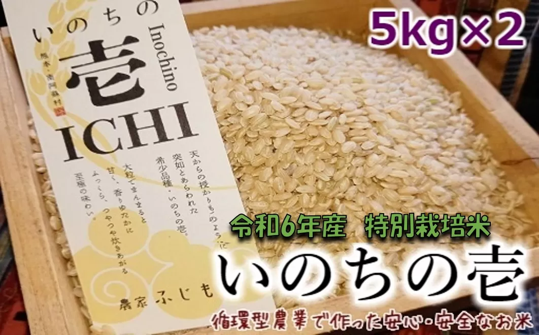 令和6年産特別栽培米 いのちの壱(玄米)5kg×2 