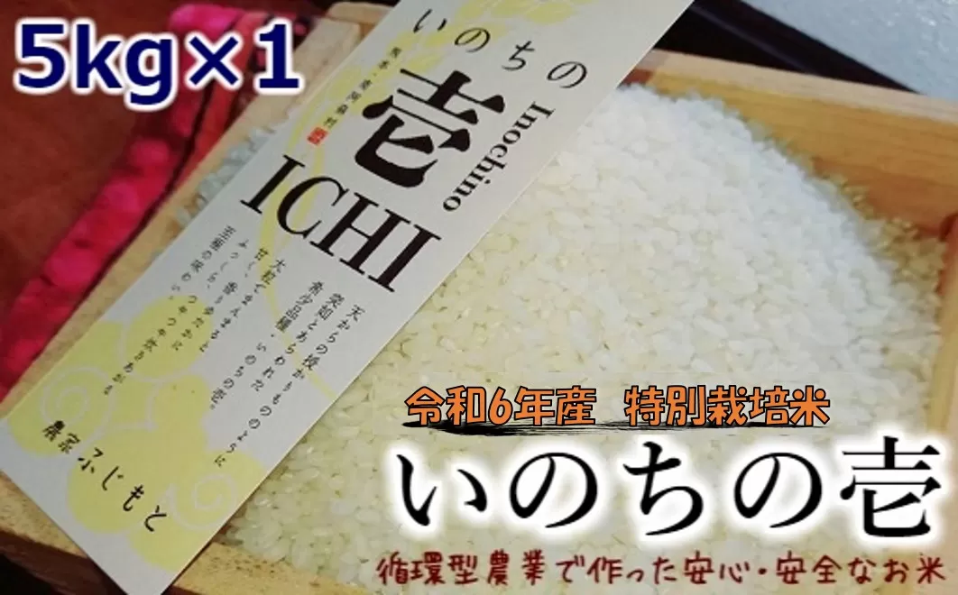 令和6年産特別栽培米 いのちの壱(白米)5kg×1