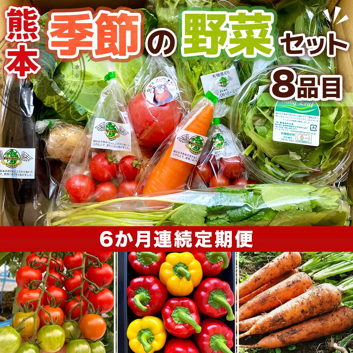【6か月連続定期便】熊本季節の野菜セット 8品目	 AB003