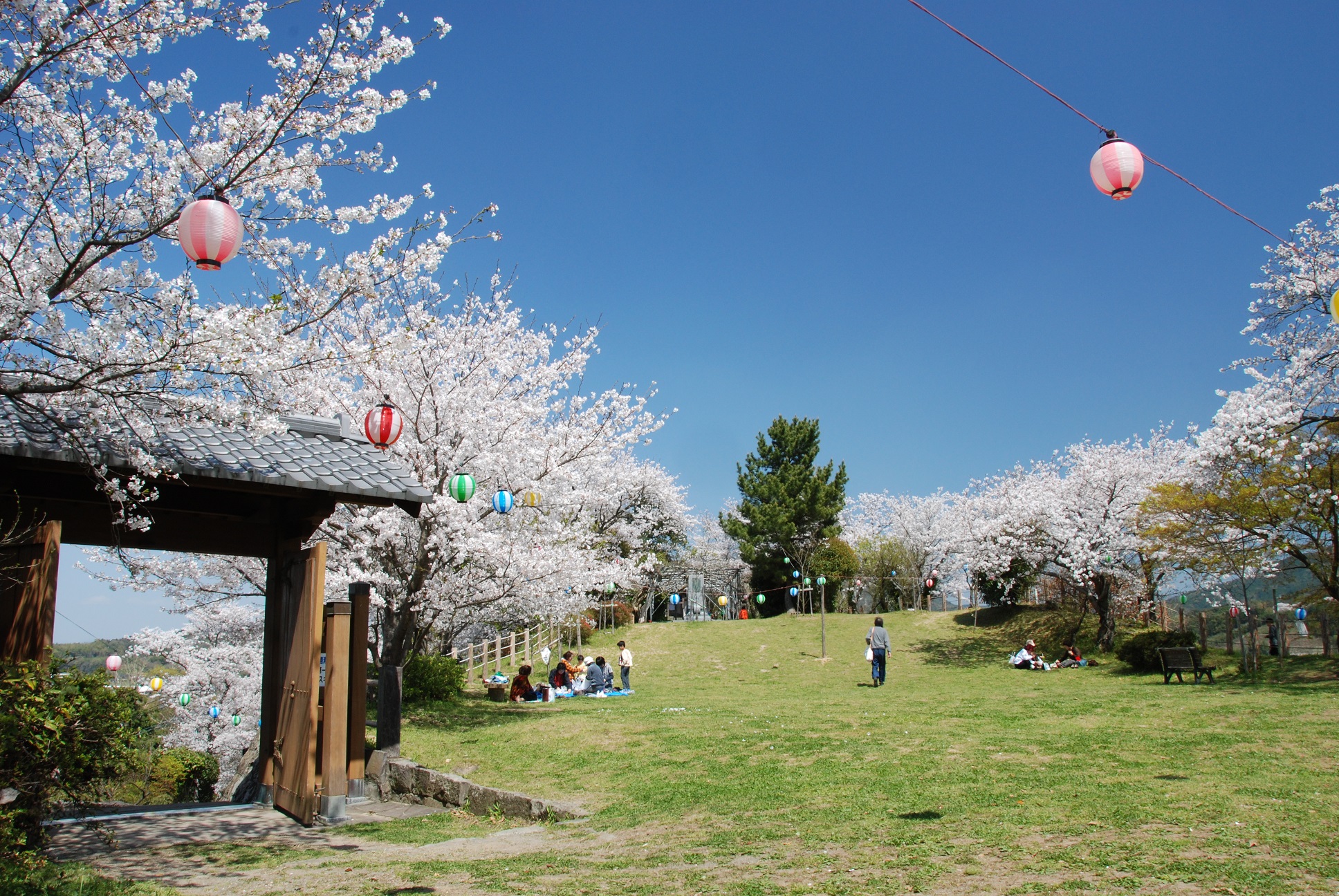 城山公園（御船城跡）