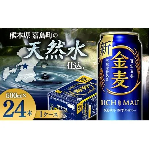 FKK19-786_サントリー 金麦 500ml×１ケース(24本)　 熊本県 嘉島町 ビール 