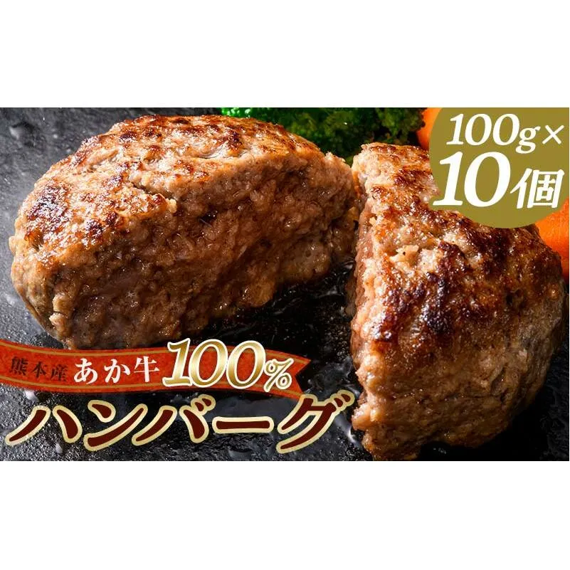 FKK19-219_あか牛100％ハンバーグ（100g×10個） 熊本県 嘉島町