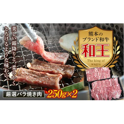 FKK19-530_熊本和王 厳選バラ焼き肉 500g 熊本県 嘉島町