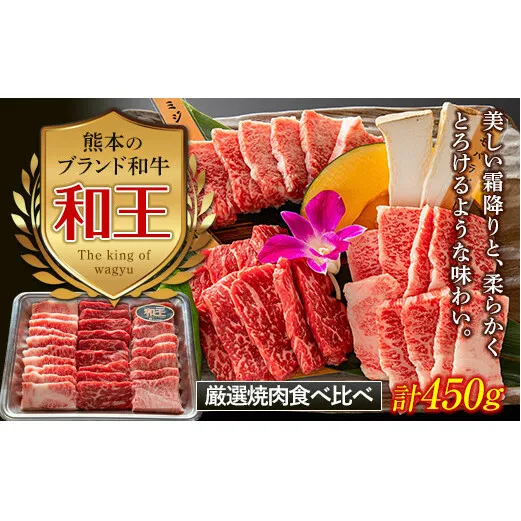 FKK19-533_熊本和王 厳選焼肉食べ比べセット 450g 熊本県 嘉島町