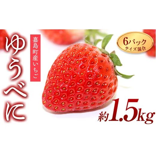 FKK19-817_【3月配送開始】【サイズ混合】嘉島町産ゆうべに 約1.5kg(250g×4、270g×2)