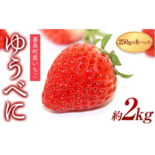 FKK19-818_【3月配送開始】【サイズ混合】嘉島町産ゆうべに 約2kg(250g×8)