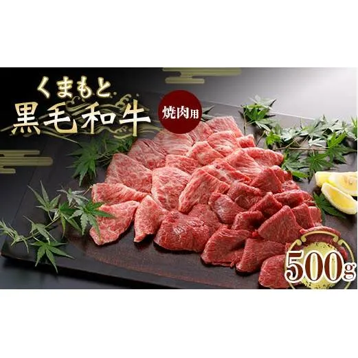 FKK19-832_くまもと黒毛和牛 焼肉用 500g