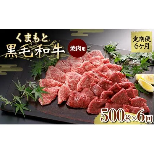 FKK19-834_【定期便6回】くまもと黒毛和牛 焼肉用 500g