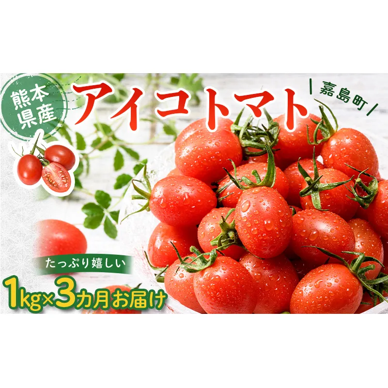 FKK19-871_【先行予約】 【3カ月定期】嘉島町産アイコトマト1kg ※2024年11月中旬より順次発送 もぎたて 産地直送 産直 有機肥料 甘い フルーティー ミニトマト プチトマト リコピン 新鮮 フレッシュ サラダ 朝食 野菜 食品