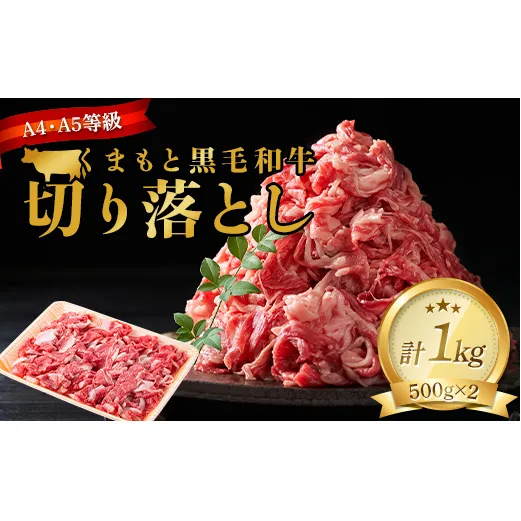 FKK19-930_ 【A4～A5】 くまもと黒毛和牛切り落とし 1kg（500g×2p）