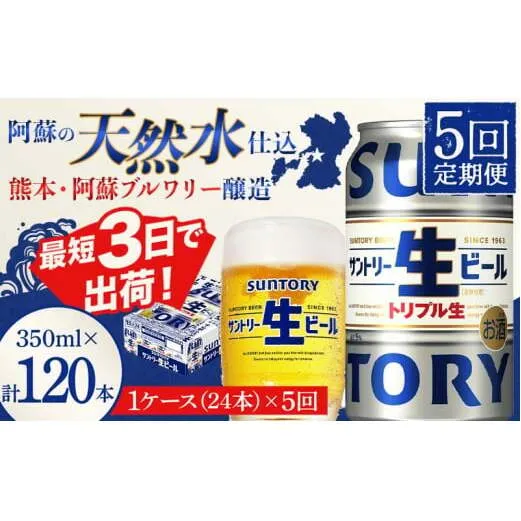 FKK19-902_ 【5回定期便】 サントリー 生ビール トリプル生 350ml ×1ケース (24缶)  熊本県 嘉島町 ビール サン生