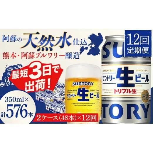 FKK19-913_ 【12回定期便】サントリー 生ビール トリプル生  350ml×2ケース(48缶) 熊本県 嘉島町 ビール サン生