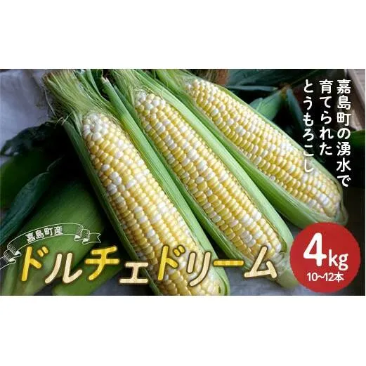 FKK19-939_【先行予約】嘉島町産ドルチェドリーム4kg ※令和7年4月中旬より発送開始 野菜 とうもろこし トウモロコシ 甘い ジューシー ドルチェドリーム 嘉島町