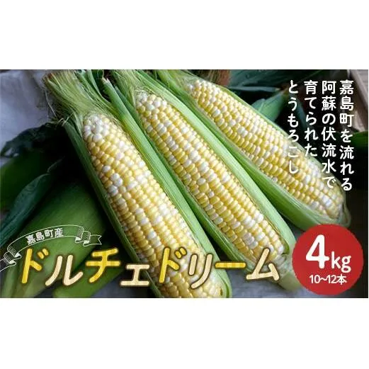 FKK19-939_【先行予約】嘉島町産ドルチェドリーム4kg ※令和7年4月中旬より発送開始 野菜 とうもろこし トウモロコシ 甘い ジューシー ドルチェドリーム 嘉島町