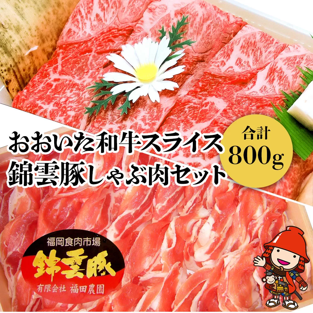 おおいた和牛 錦雲豚 しゃぶしゃぶ セット 合計800g 牛スライス肉(400g) 豚バラ肉(200g) 豚ロース肉(200g) セット 詰め合わせ おおいた和牛 黒毛和牛 冷凍 豚肉 九州産 国産 送料無料／熨斗対応可 お歳暮 お中元 など