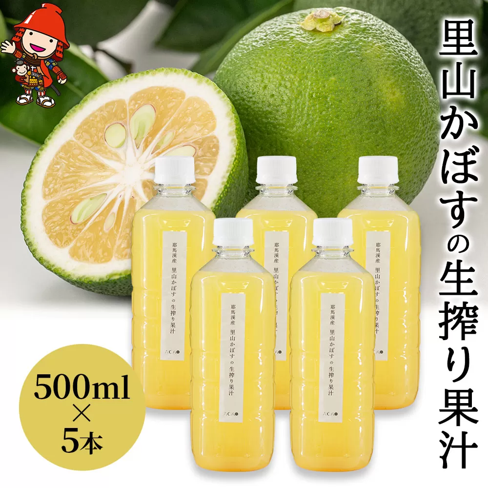 【数量限定】里山かぼすの生搾り果汁 500ml×5本   カボス 柑橘 果汁100％ お酢 かぼす果汁 調味料 果実酢 大分県産 九州産 中津市