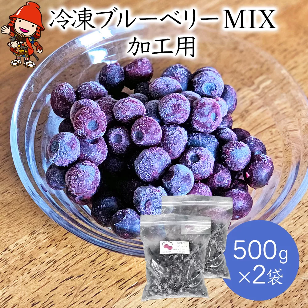 冷凍ブルーベリー mIX 加工用500g×2袋 フルーツ 果物 くだもの ラビットアイ サザンハイブッシュ 大分県産 九州産 中津市 国産