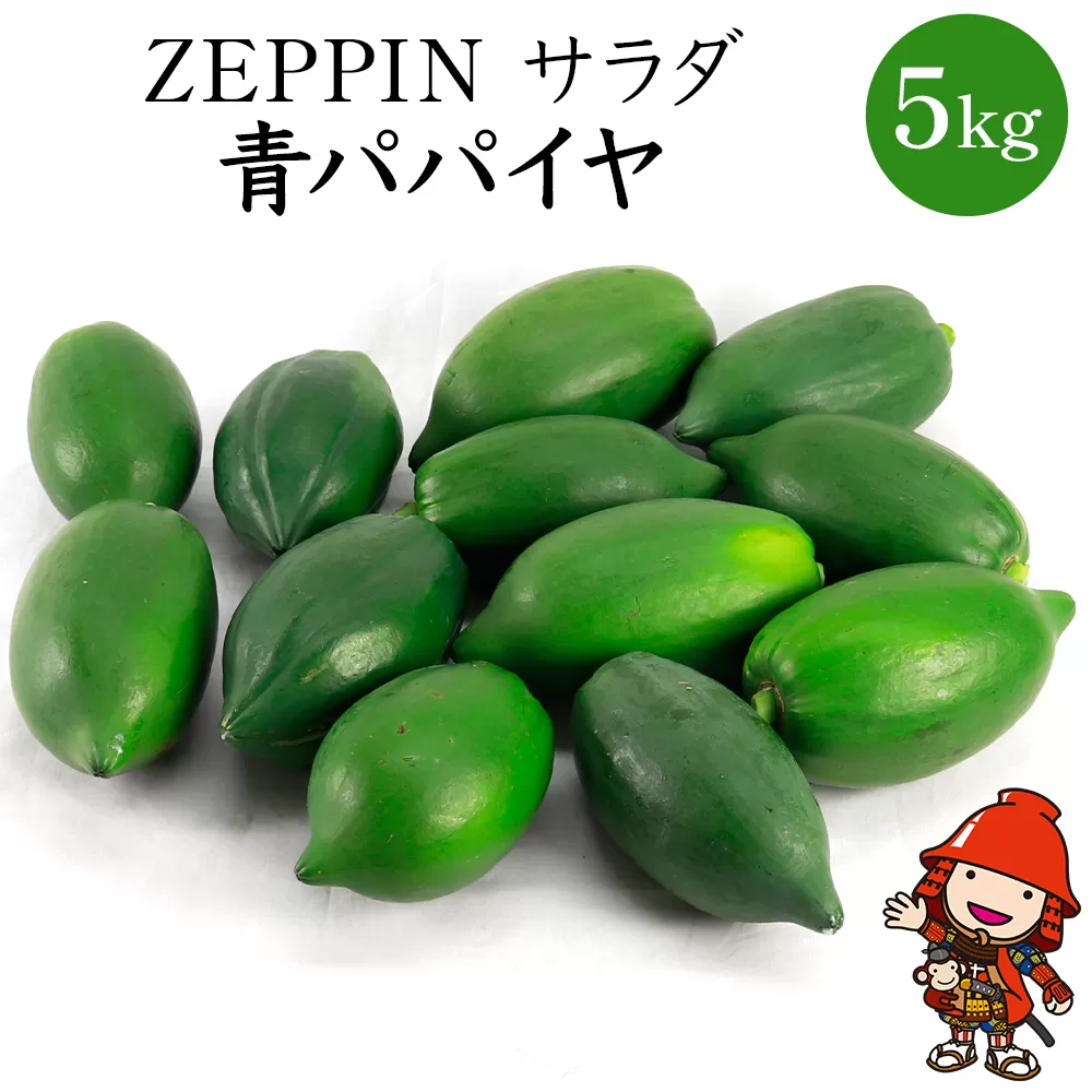 【数量限定】酵素の王様 スーパーフード 中津産 ZEPPIN サラダ 青パパイヤ 5kg ベーベジ 野菜 ベジタブル タイ料理 大分県産 九州産 中津市 熨斗対応