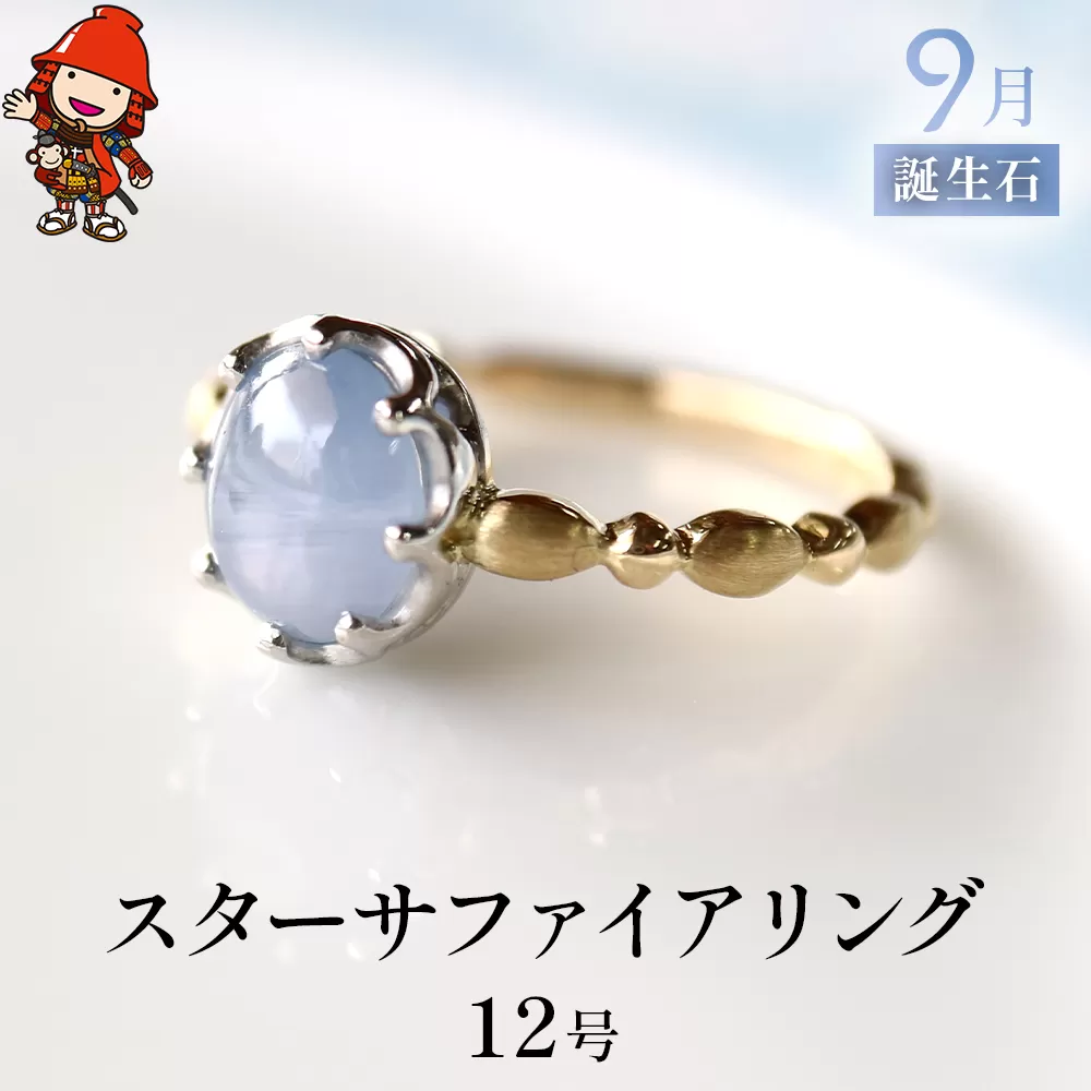 誕生石 9月 スターサファイア 指輪 リング 12号 K18 PT900 プラチナ アクセサリー 婚約指輪 プロポーズ 結婚指輪 誕生日 婚約 結婚 母の日 プレゼント 祝 記念日 女性 贈り物 大分県産 九州産 中津市