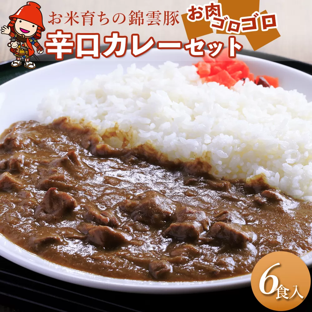 錦雲豚カレー辛口 たっぷり 6食 セット 合計1.2kg レトルトカレー レトルト 惣菜 おかず 国産 九州産 大分県産 中津市 ブランド豚 豚肉 送料無料