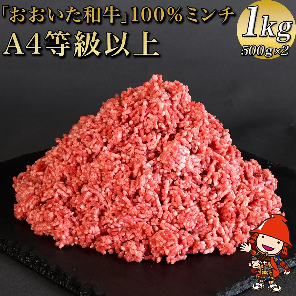 おおいた和牛100％ミンチ 1kg（500g×2） 和牛 挽肉 ひき肉 豊後牛 大分県産 小分け 国産 冷凍 送料無料