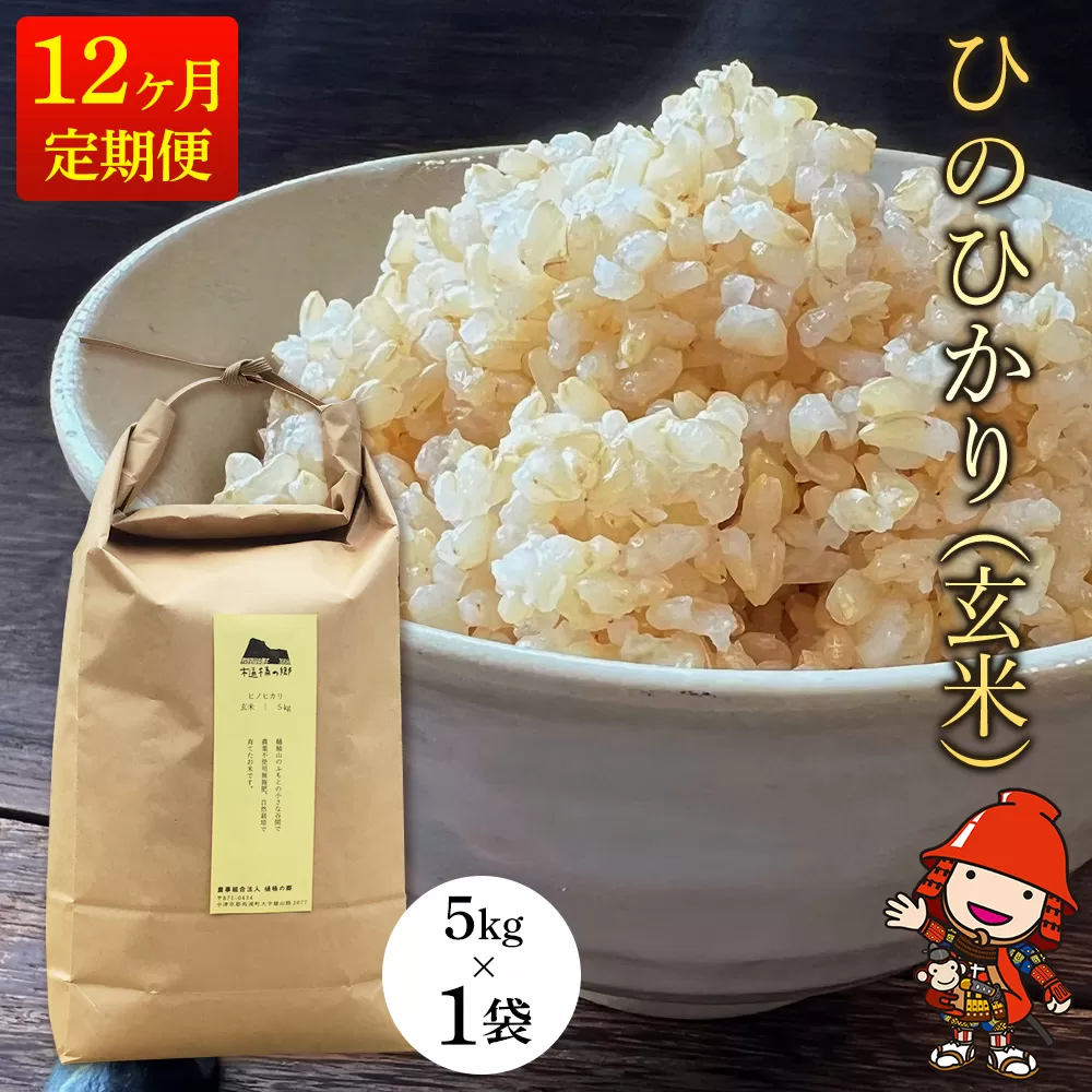 【12ヶ月定期便】令和6年産 ひのひかり(玄米) 5kg×1袋 (毎月1回) 大分県中津市耶馬溪産 栽培期間中 農薬不使用 無施肥 自然栽培 ヒノヒカリ お米 米 ご飯 白米 農家直送 大分県産 九州産 中津市