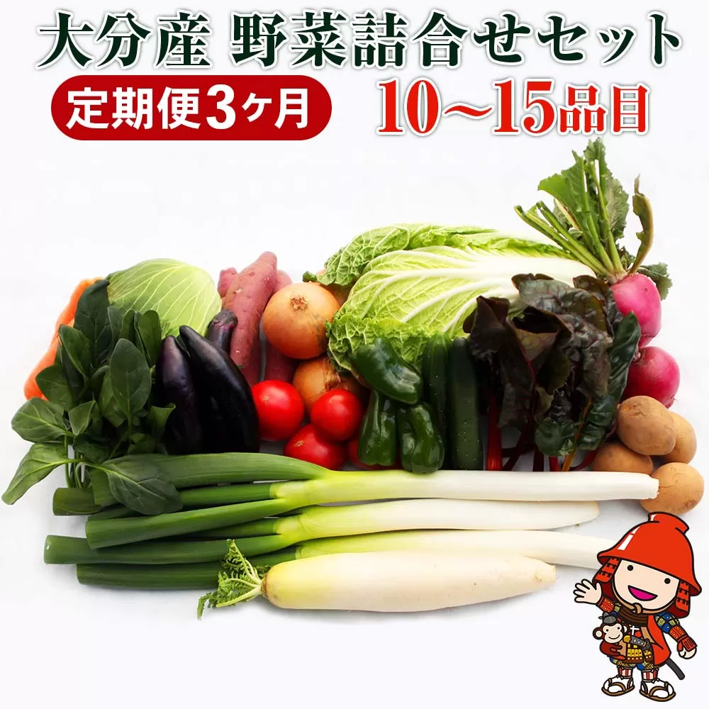 【JA直売所直送】春夏秋冬野菜セット 【3ヶ月定期便】　毎月届く　旬野菜