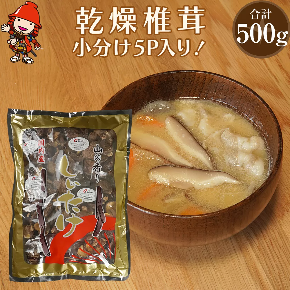 乾燥椎茸 訳あり 椎茸100g×5パック 乾しいたけ 干し椎茸 干ししいたけ 乾燥しいたけ 干しシイタケ 原木 大分県産 九州産 中津市 国産 送料無料