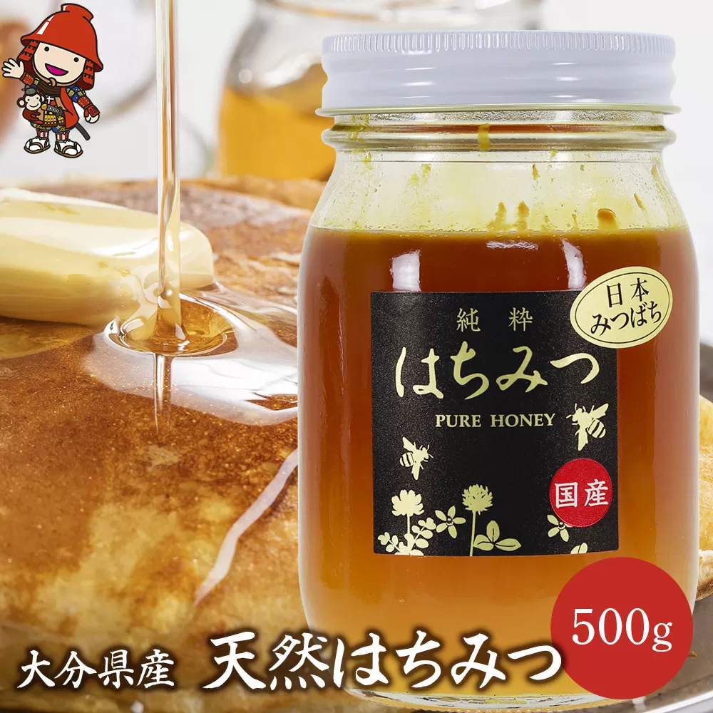 天然はちみつ 500g 国産 日本 蜂蜜 非加熱 はちみつ ハチミツ 百花蜂蜜 大分県産 九州産 中津市