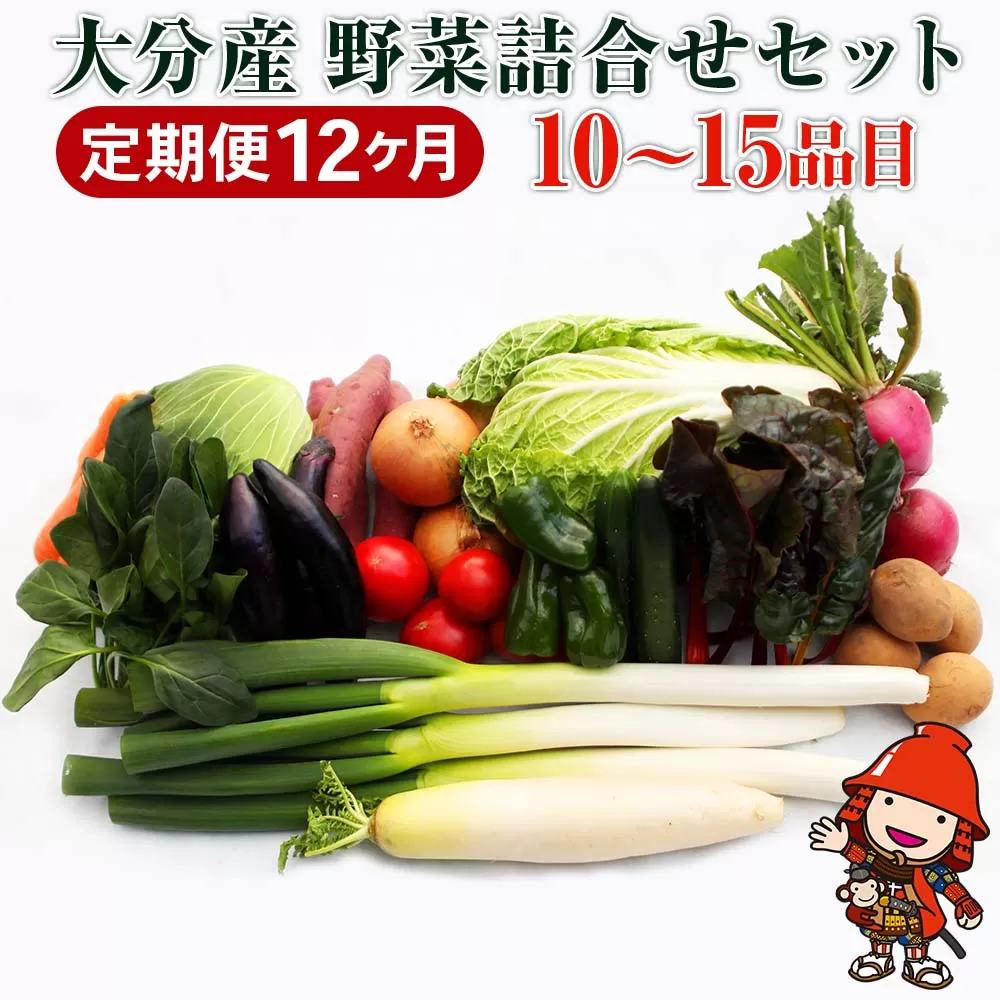 【JA直売所直送】春夏秋冬野菜セット 【12ヶ月定期便】　毎月届く　旬