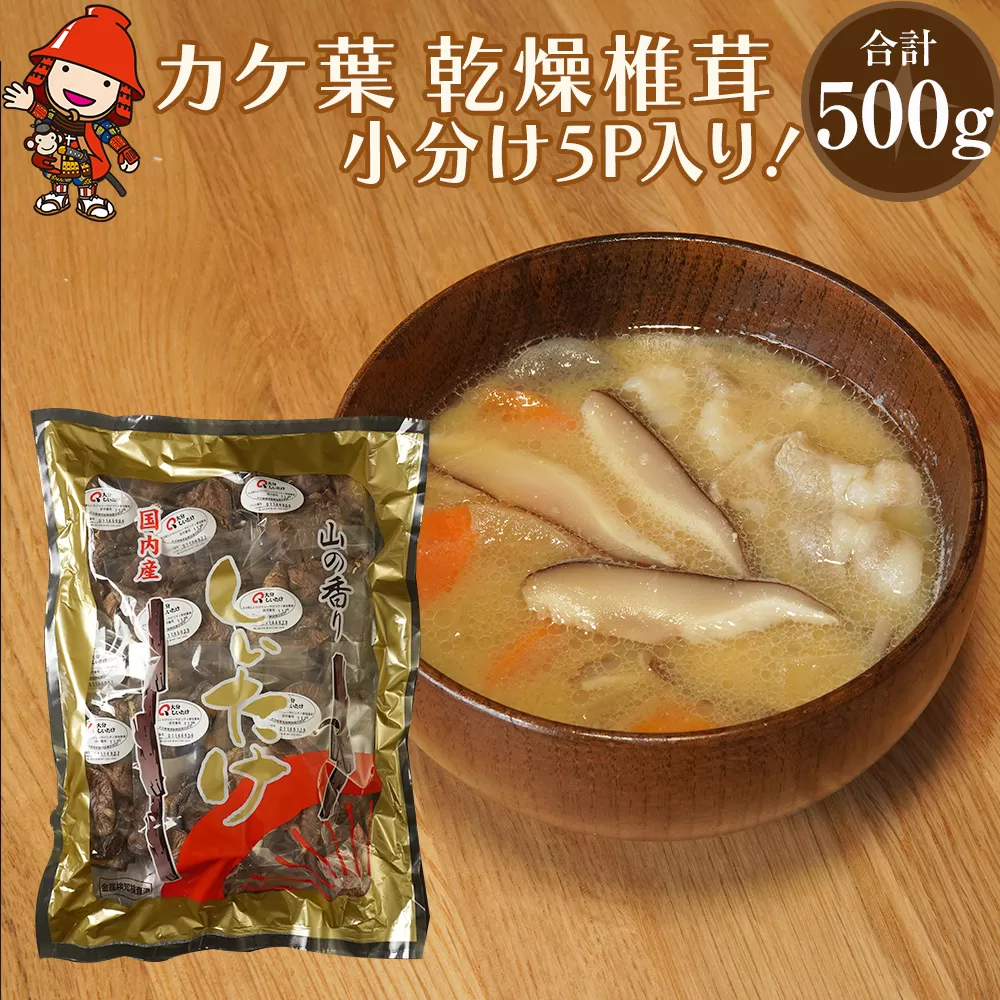 乾燥椎茸 カケ葉 椎茸 100g×5パック 乾しいたけ 干し椎茸 干ししいたけ 乾燥しいたけ 干しシイタケ 原木 大分県産 九州産 中津市 国産 送料無料