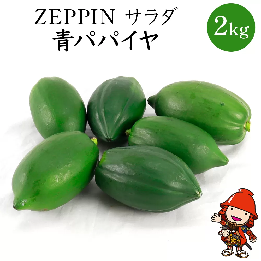 【数量限定】酵素の王様 スーパーフード 中津産 ZEPPIN サラダ 青パパイヤ 2kg ベーベジ 野菜 ベジタブル タイ料理 大分県産 九州産 中津市 熨斗対応