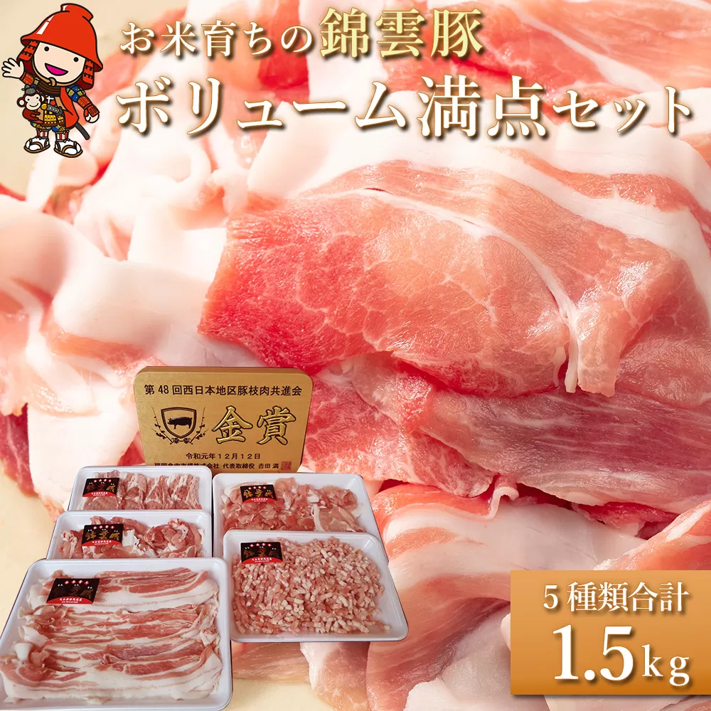 ボリューム満点 錦雲豚 ブランド肉 5種類 合計1.5kg セット ロース バラ肉 もも うで ミンチ ブランド豚 九州産 大分県産 中津市 国産 冷凍 送料無料