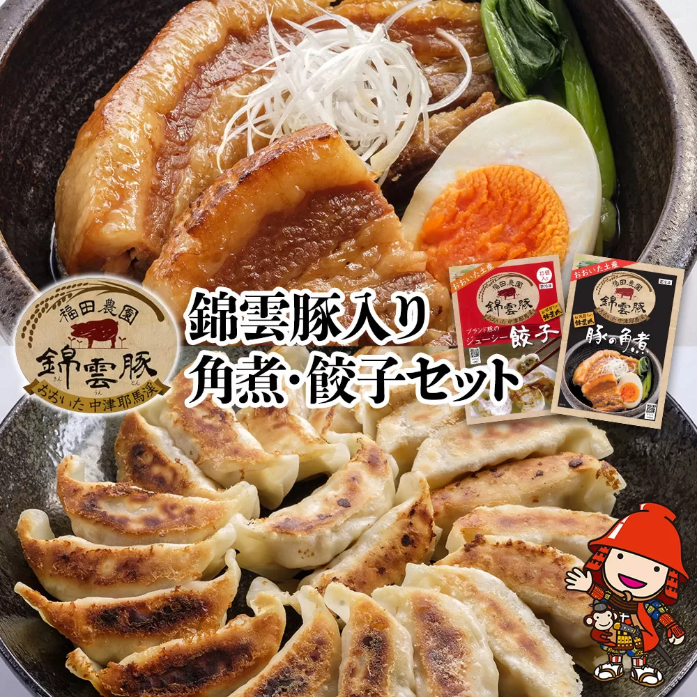 錦雲豚 角煮250g×2 餃子15個入り×2(たれ付き) 冷凍食品 肉餃子 惣菜 冷凍おかず 冷凍餃子 豚の角煮 大分県産 九州産 中津市 国産 送料無料