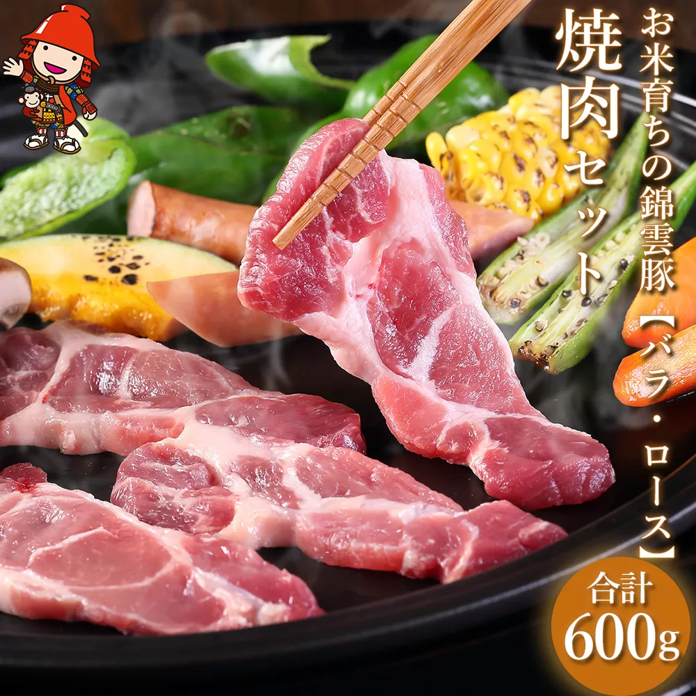 お米育ちの錦雲豚 焼肉セット 合計600g（ロース300g・バラ300g） ブランド豚 九州産 大分県産 国産 冷凍 送料無料