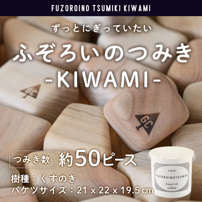 ふぞろいのつみき KIWAMI (約50ピース) おもちゃ 積み木 玩具 知育玩具 木製 くすのき 大分県 佐伯市 【FD03】【 (福)希望の森 太陽農園】