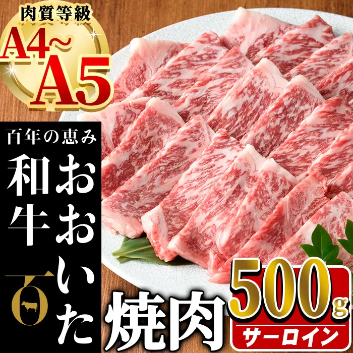 おおいた和牛 サーロイン 焼肉 (計500g)  国産 牛肉 肉 霜降り A4 A5 黒毛和牛 和牛 豊後牛 ブランド牛 冷凍【HE04】【(株)吉野】