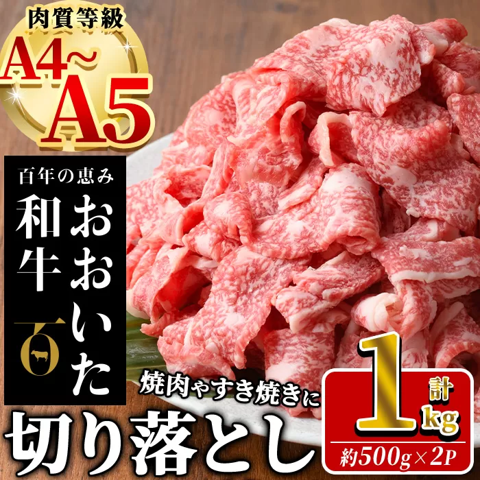 おおいた和牛 切り落とし (計1kg ・500g×2P)  国産 牛肉 肉 霜降り A4 A5 黒毛和牛 すき焼き しゃぶしゃぶ 焼肉 和牛 豊後牛 ブランド牛 冷凍【HE01】【(株)吉野】