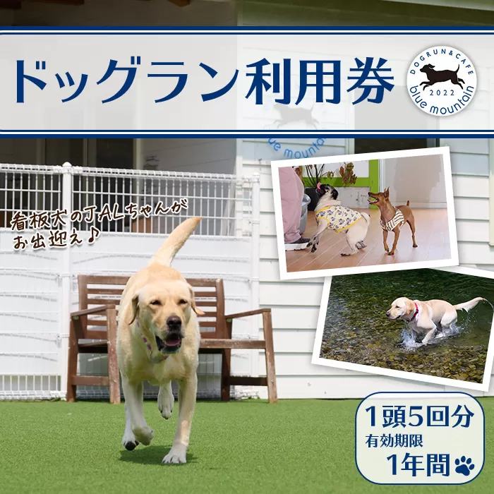 メール便でお届け！ドッグラン利用券(1頭5回分) 犬 ワンちゃん ペット チケット 体験 レジャー 自然 屋内 屋内 ラン 川遊び ポスト投函 大分県 佐伯市【HI002】【ドッグラン＆カフェblue mountain】