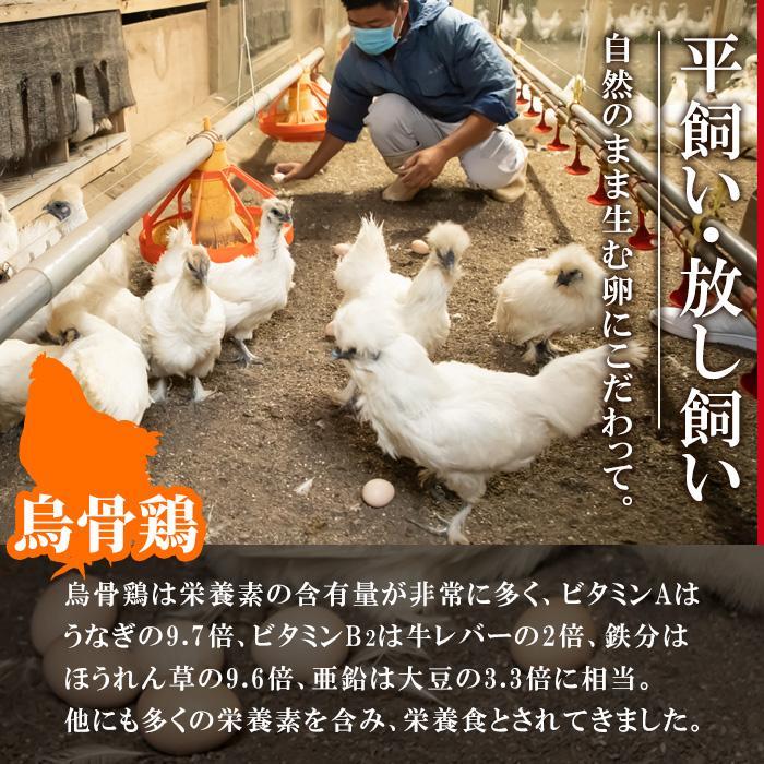 平飼い烏骨鶏のたまご (計10個) 元さん農園 卵 玉子 卵かけご飯 玉子焼き 平飼い 鶏 鶏卵 養鶏場直送 朝採れ 新鮮 大分県 佐伯市  【GE003】【 (株)海九】｜佐伯市｜大分県｜返礼品をさがす｜まいふる by AEON CARD