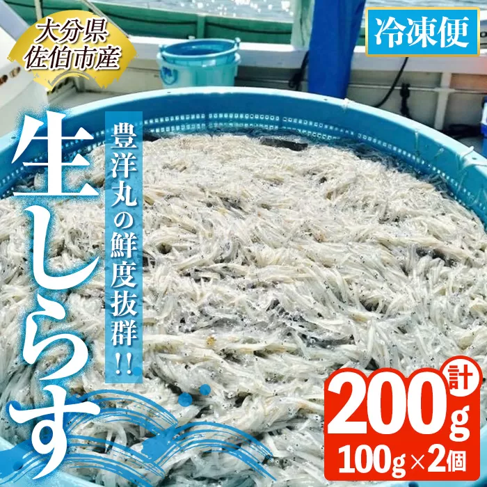 豊洋丸の鮮度抜群！ 生しらすセット (計200g・100g×2個) 冷凍 しらす しらす丼 丼ぶり 魚 さかな ご飯 ごはん 炒飯 チャーハン パスタ サラダ 国産 大分県 パック 小分け 便利 大分県 佐伯市【HK01】【OITAしらすhoyomaru豊洋丸】