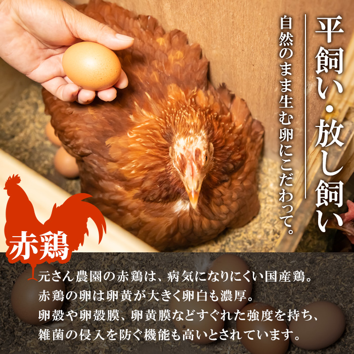 定期便・全6回 (連続)＞平飼い赤鶏のたまご (総量180個・S-Mサイズ30個×6回) 元さん農園 卵 玉子 卵かけご飯 玉子焼き 平飼い 鶏 鶏卵  養鶏場直送 朝採れ 新鮮 大分県 佐伯市 【GE005】【 (株)海九】｜佐伯市｜大分県｜返礼品をさがす｜まいふる by AEON CARD