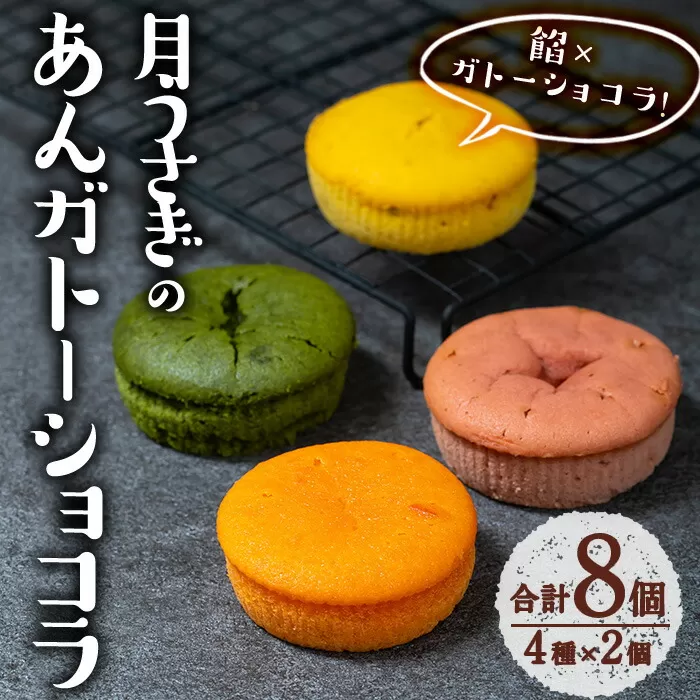 あんガトーショコラ (合計8個・4種各2個) 餡 ガトーショコラ スイーツ スウィーツ 菓子 焼き菓子 洋菓子 おやつ 詰め合わせ セット 個装 大分県 佐伯市【ER033】【(株)古川製菓】