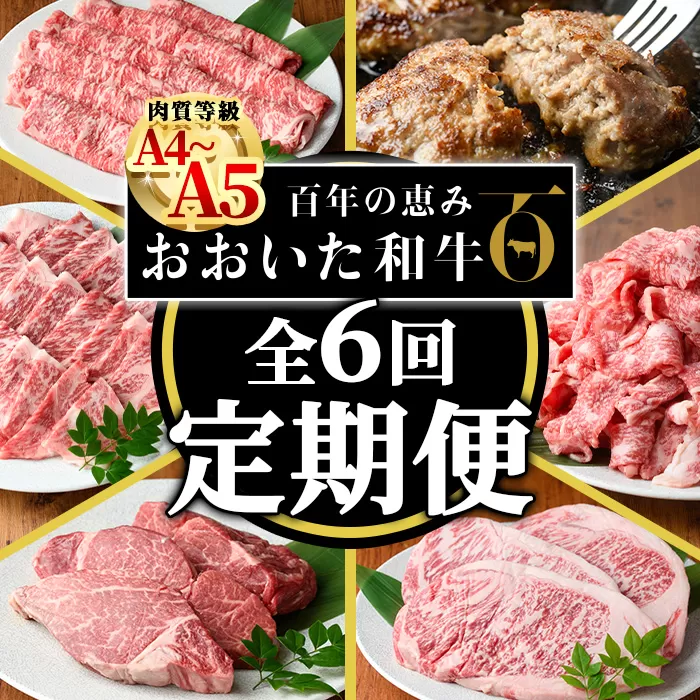 ＜定期便・全6回(連続)＞おおいた和牛 定期便 (総量4.33kg) 国産 牛肉 肉 霜降り A4 A5 黒毛和牛 ステーキ すき焼き しゃぶしゃぶ 焼肉 和牛 豊後牛 ブランド牛 冷凍 ハンバーグ【HE12】【(株)吉野】